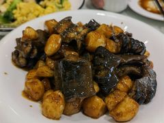 -陶然饺子城(奥体中路店)