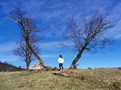 -硗碛藏寨·神木垒景区