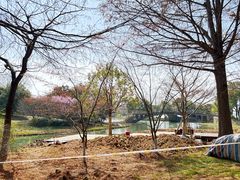 -石湖景区