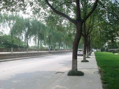 -绵阳人民公园(涪城区)