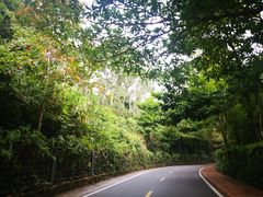 -深圳东部华侨城茵特拉根酒店