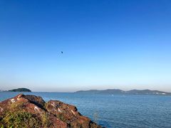 -上海市保健医疗中心