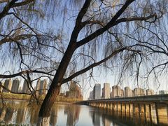 -长白岛森林公园