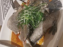 -强记海鲜·大排档(蛇口新街店)