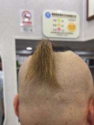 -青霖·飘逸造型