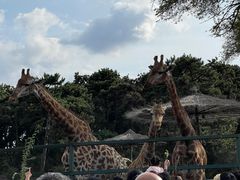 -沈阳森林动物园