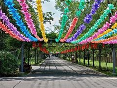 -东平国家森林公园