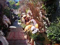 -The Grounds of Alexandria