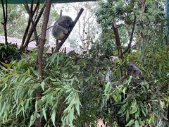 -可伦宾野生动物保护区