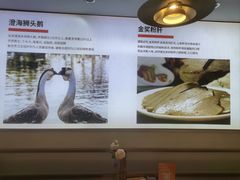 -陆记鹅庄·潮汕菜·狮头鹅(大仟里店)