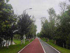 -艾溪湖湿地公园
