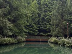 -山王坪喀斯特国家生态公园
