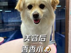 -FAELING PETS美天灵宠物(富力广场店)
