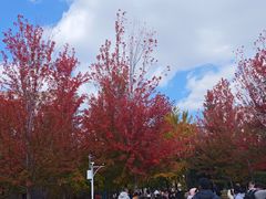 -辽宁大学(崇山校区)