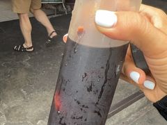 -罗汉果龙眼冰糖燉冬瓜