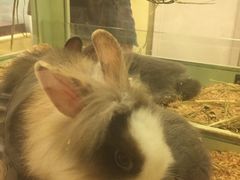 -龙猫仔乐园(惠福东路店)