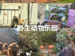 -昆明动物园