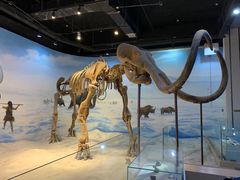 -辽宁古生物博物馆