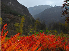 19-百里山水画廊乌龙峡谷