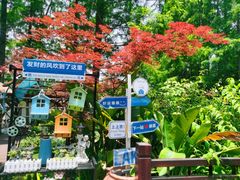 -东平国家森林公园