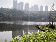 -重庆彩云湖湿地公园