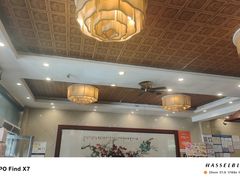 -老雒阳面馆·水席·洛阳菜(纱厂路店)