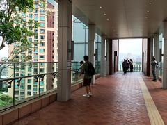-香港大学