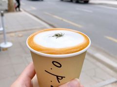 Orange&nbsp;Pillow-O.P.S. CAFE