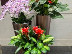 -星巴克臻选(外滩中心店)