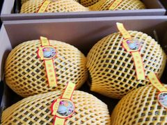-西郊国际农产品交易中心