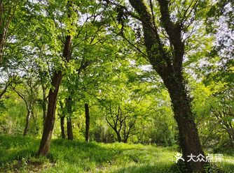 神龙湾——江南水乡第一站