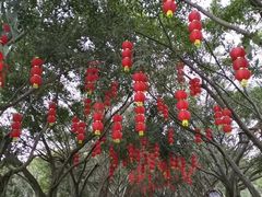 -大屏嶂森林公园