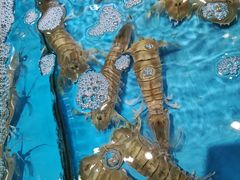 -三亚火车头万人海鲜广场