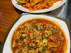-红辣椒八爪鱼特色韩国料理