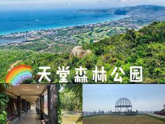 -亚龙湾热带天堂森林公园