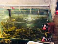 -老凯俚酸汤鱼(鸿通城店)