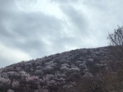 -妙峰山风景名胜区