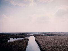 -盐城丹顶鹤湿地生态旅游区