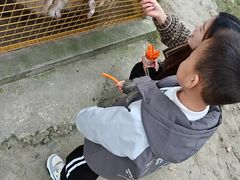 -国色天乡三期陆地乐园