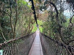 -三亚亚龙湾人间天堂鸟巢度假村