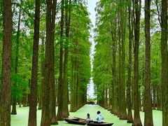 -渌洋湖湿地公园