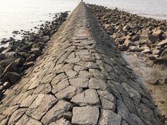 iphone_upload_pic-瀛洲公园
