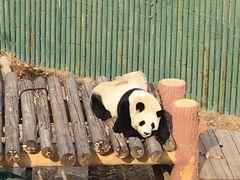 -沈阳森林动物园