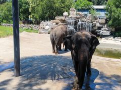 -北京野生动物园