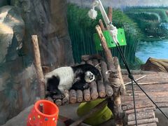 -青藏高原野生动物园