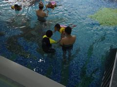 -尼莫亲子游泳NEMOSWIM(西美中心)