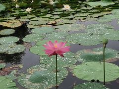 -承德避暑山庄景区