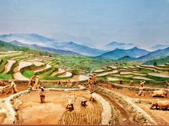-中国农业博物馆