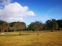 -三亚珠江南田温泉度假区