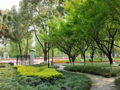 -温江公园